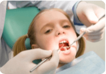 dental-exams